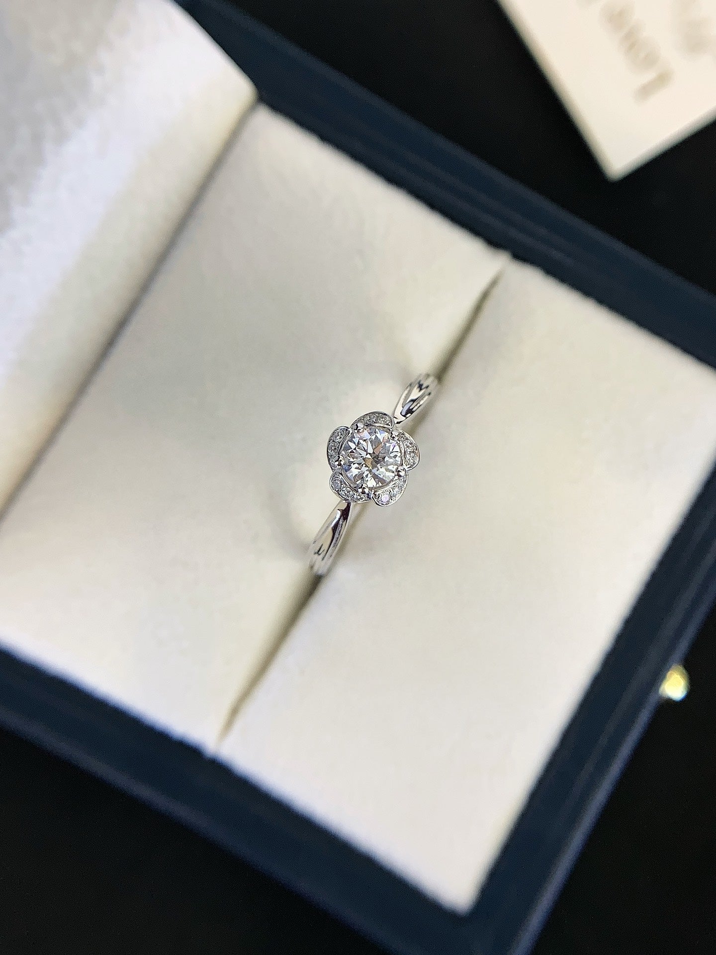 The Petal Halo